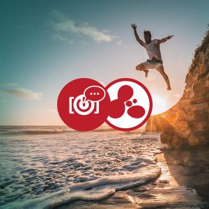 SenseMaker-QuickStart